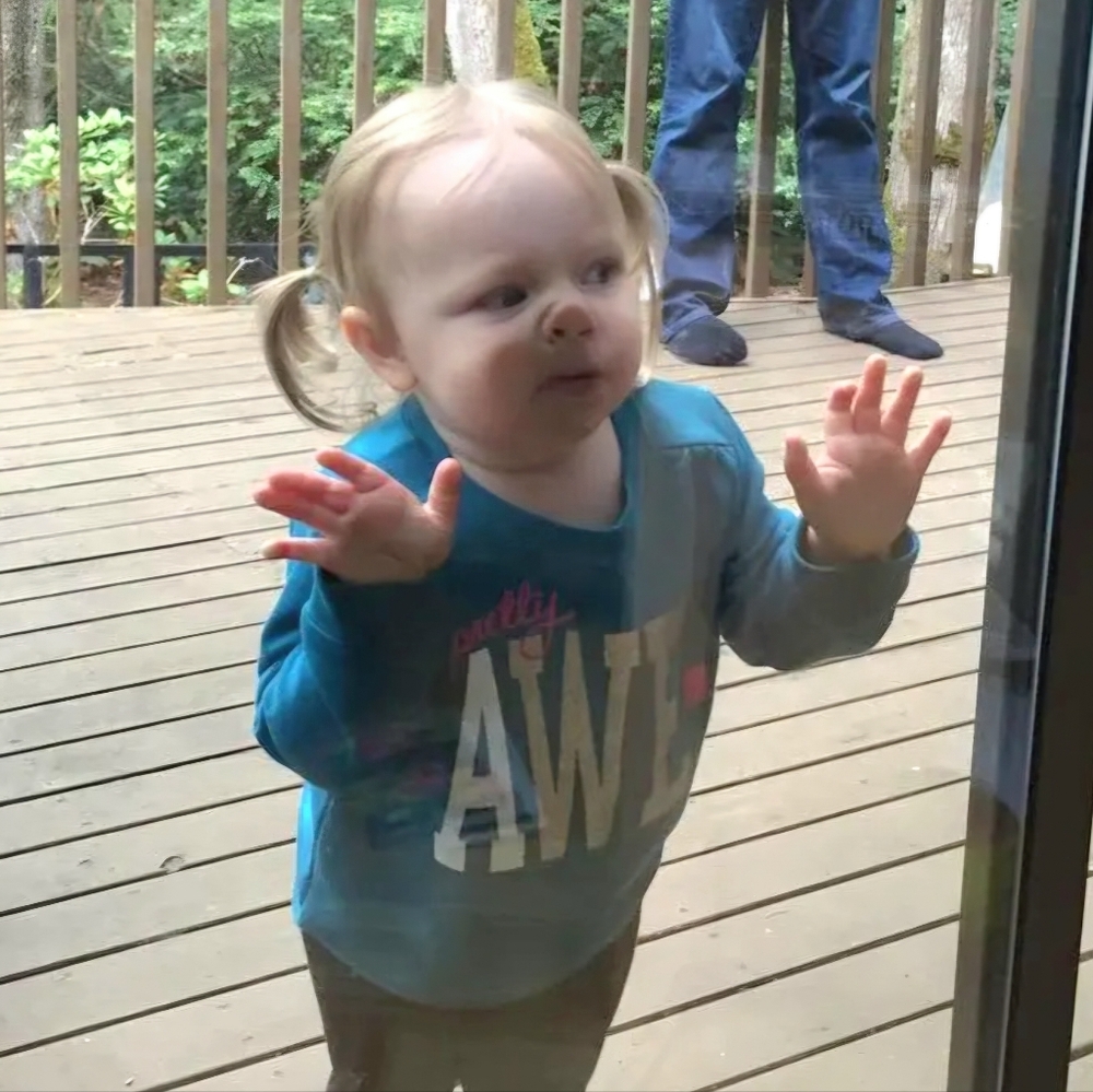 YOLO - Excluded Bundle Game Night